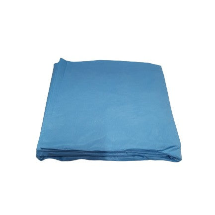 COPRILETTINO AZZURRO CON ELASTICO NON STERILE cm. 100x240